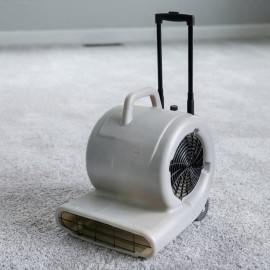 Carpet Blower